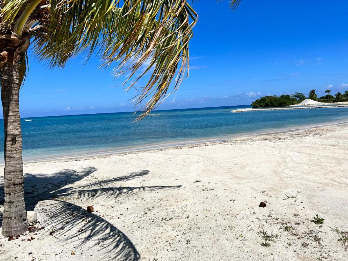 Appartamento Ocho Rios Ocean Escape Richmond Esterno foto